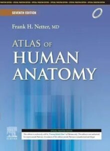 Atlas Of Human Anatomy By Frank H Netter 7th Edition Book Bazar Online